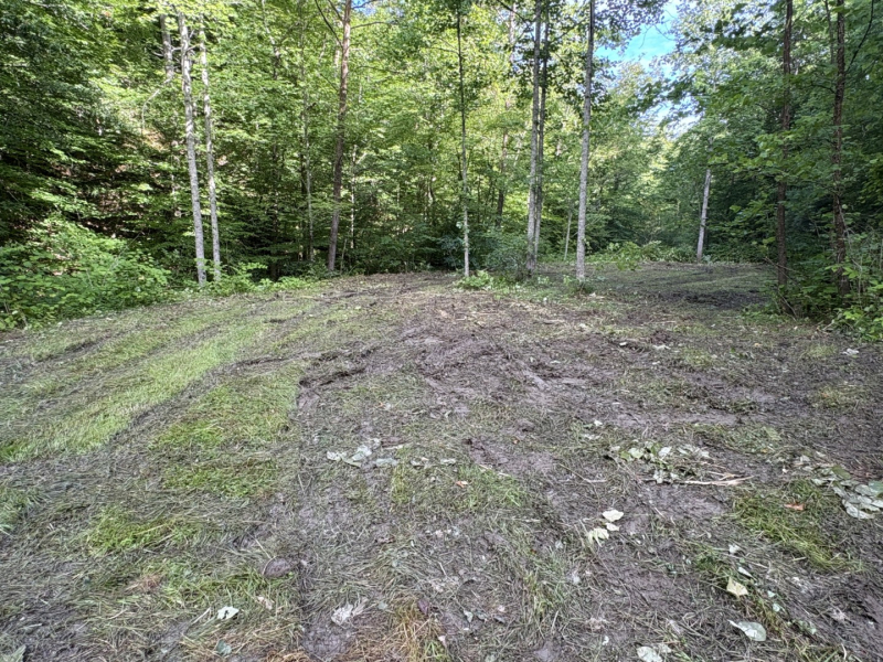 Experience the Mountains: Tract 4 Martins Creek